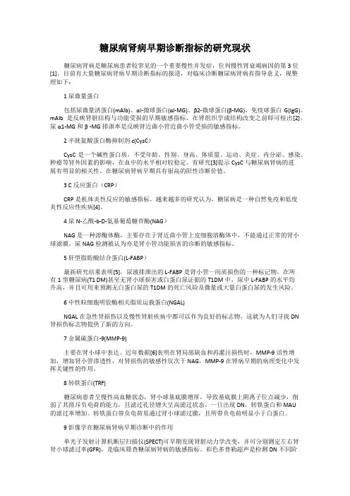 糖尿病肾病早期诊断指标的研究现状