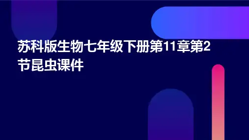 苏科版生物七年级下册第11章第2节昆虫课件