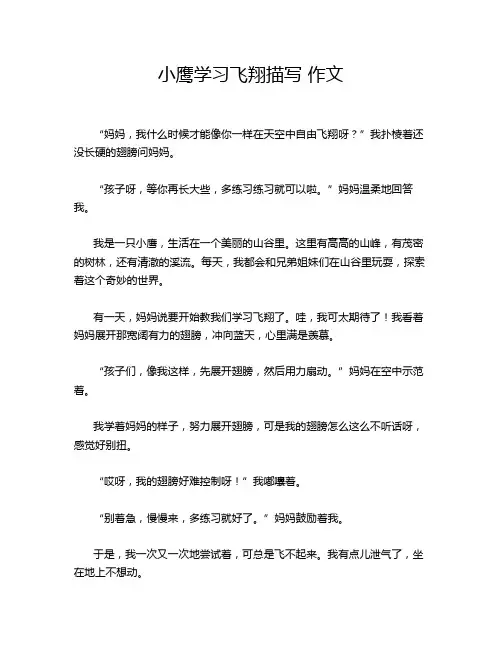 小鹰学习飞翔描写 作文