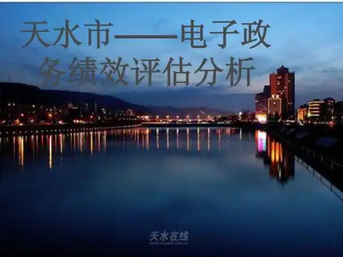 天水市电子政务绩效评估