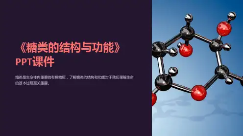 《糖类的结构与功能》课件