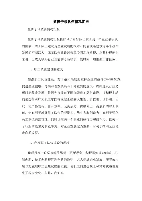 抓班子带队伍情况汇报