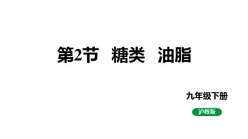 8.2糖类油脂课件-沪教版化学九年级下册