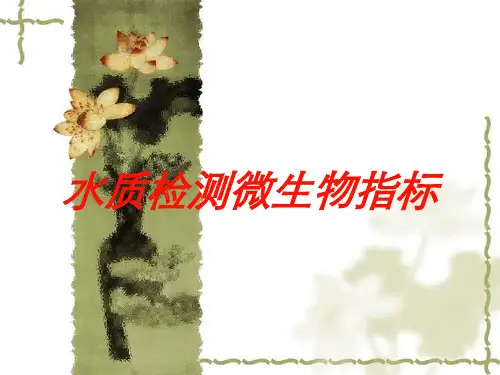 水质检测微生物指标培训课件