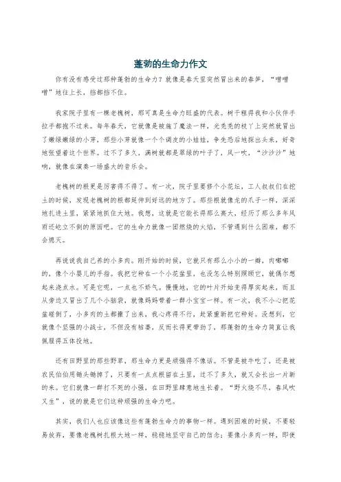 蓬勃的生命力作文
