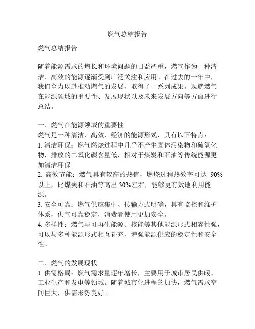 燃气总结报告