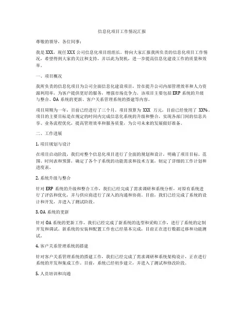 信息化项目工作情况汇报