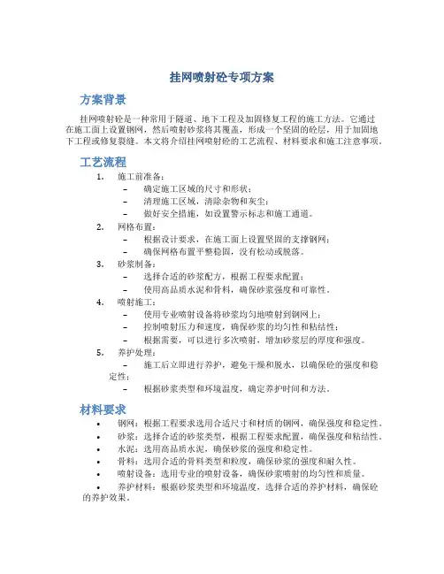 挂网喷射砼专项方案