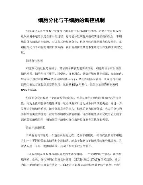 细胞分化与干细胞的调控机制
