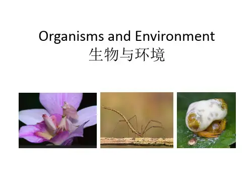 基础生态学：第一章 生物与环境