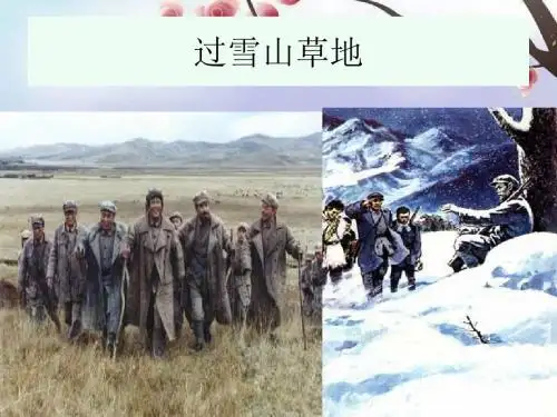 过雪山草地