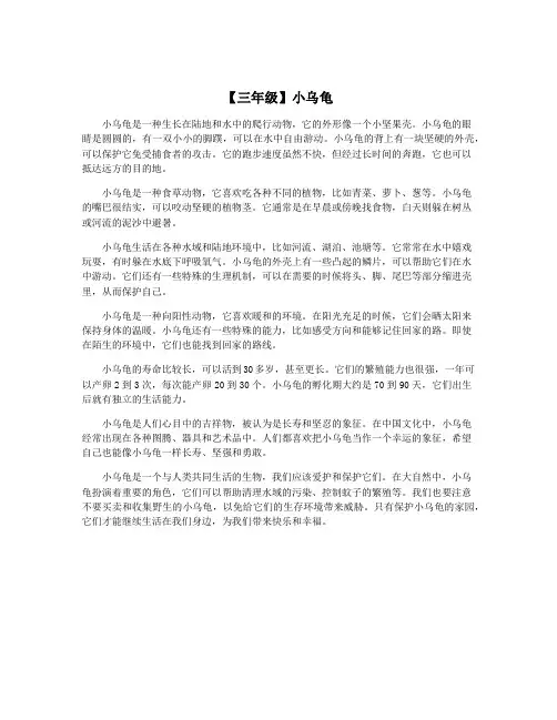 【三年级】小乌龟