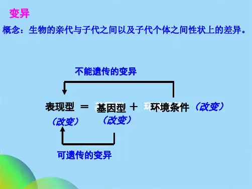 生物一轮复习生物的变异类型(共39张PPT)