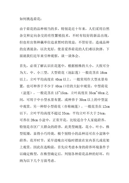 如何挑选荷花