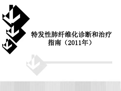 IPF指南PPT课件
