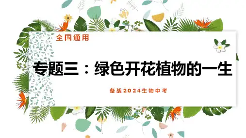 专题03 绿色开花植物的一生-2024年中考生物复习课件