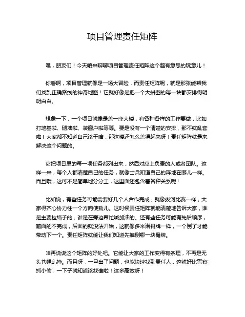 项目管理责任矩阵