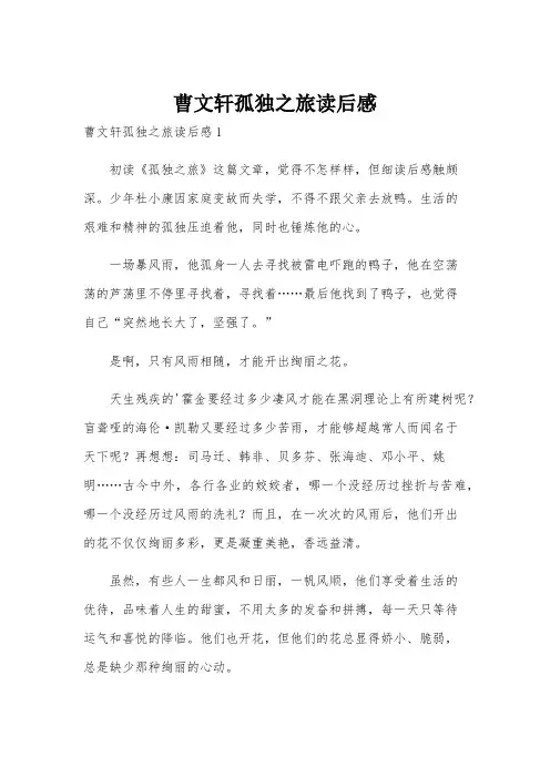 曹文轩孤独之旅读后感