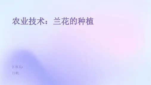 农业技术：兰花的种植