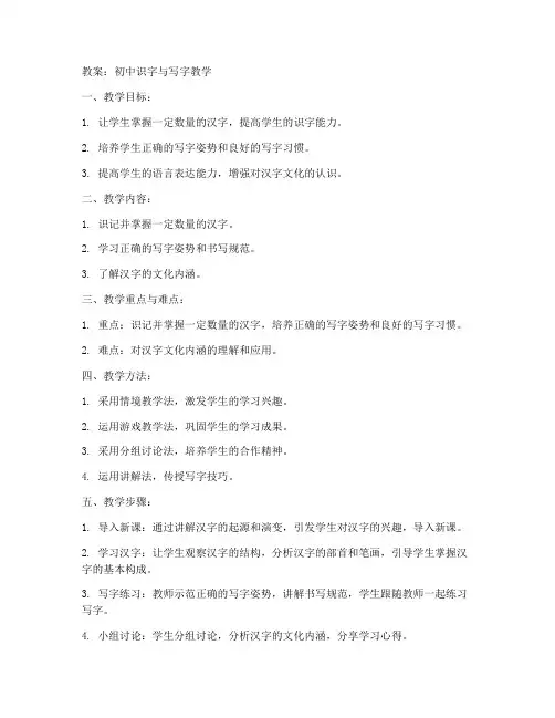 初中识字与写字教案