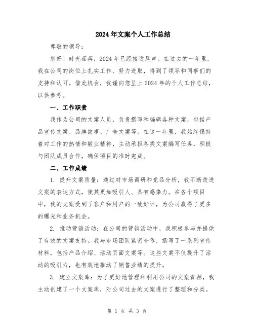 2024年文案个人工作总结