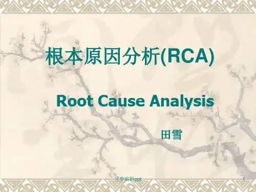 根本原因分析