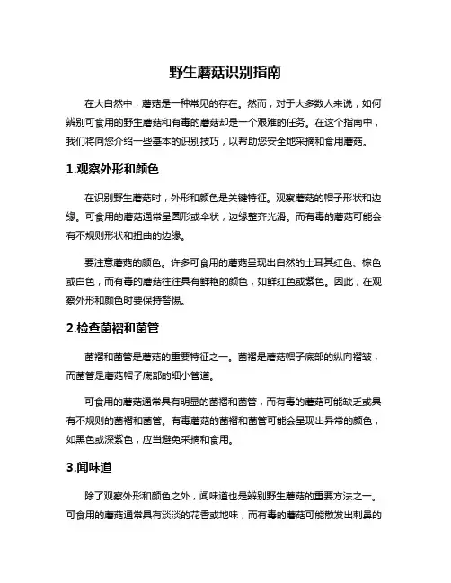 野生蘑菇识别指南