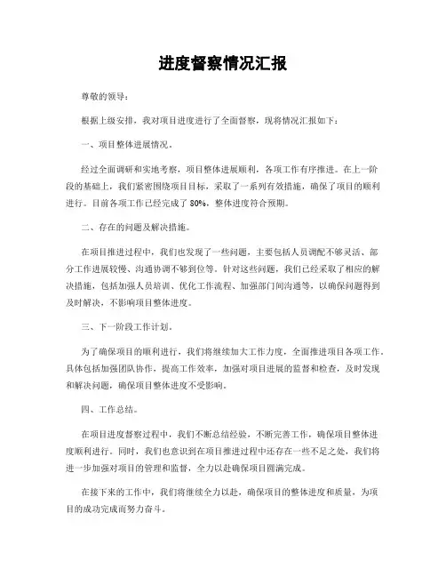进度督察情况汇报