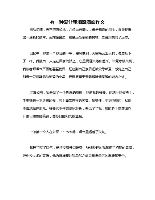 有一种爱让我泪流满面作文