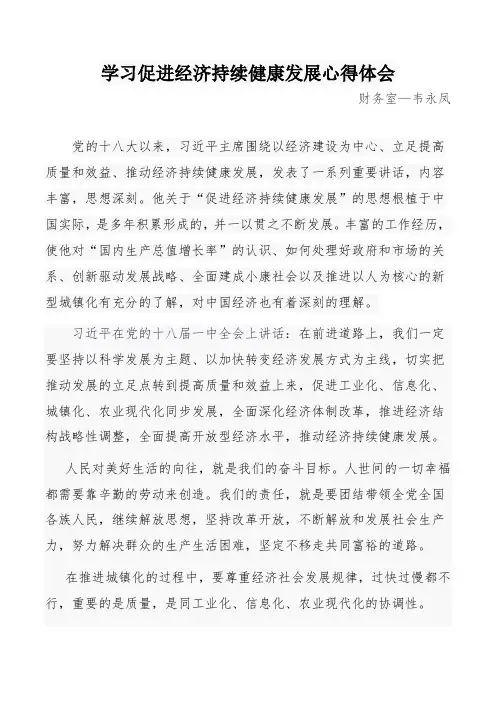 学习经济持续健康发展心得体会