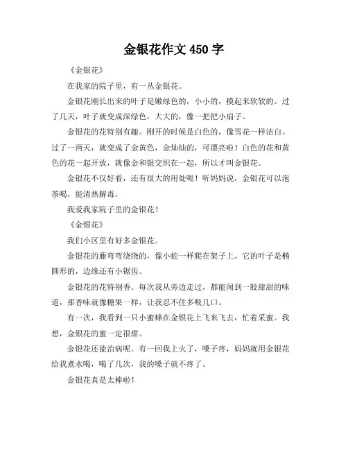金银花作文450字