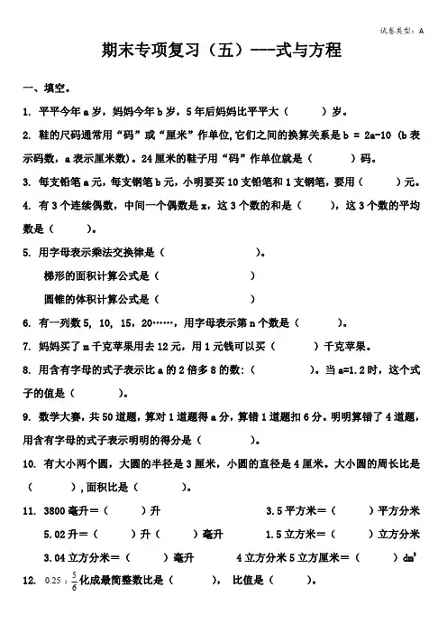 青岛版五四制小升初数学期末专项复习《式与方程》
