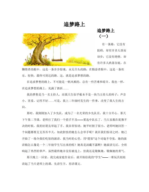 追梦路上(共10)