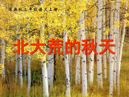 三年级上册《北大荒的秋天》精品课件.