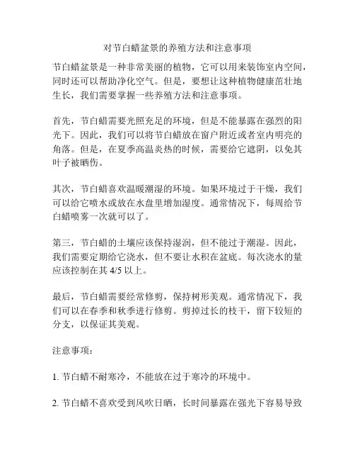 对节白蜡盆景的养殖方法和注意事项