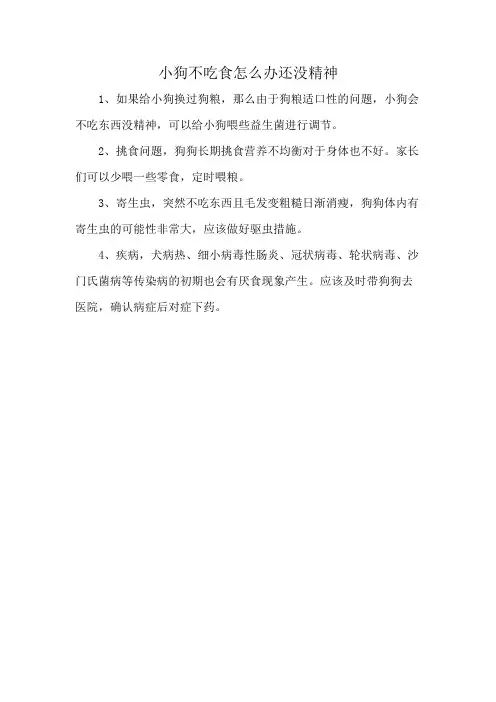 小狗不吃食怎么办还没精神