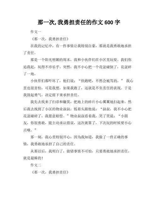 那一次,我勇担责任的作文600字