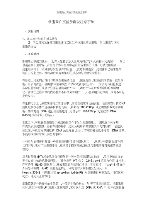 细胞凋亡实验步骤及注意事项
