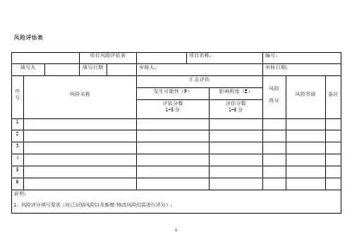 项目风险评估表