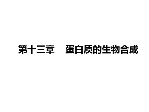 第十三章蛋白质的生物合成