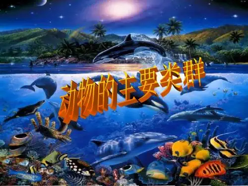 动物的主要类群(共40张PPT)