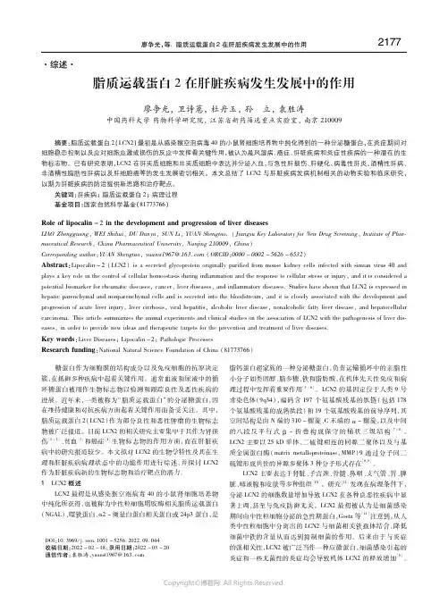 脂质运载蛋白2在肝脏疾病发生发展中的作用