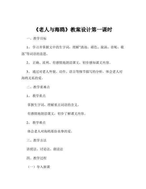 《老人与海鸥》教案设计第一课时