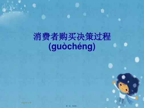 消费者购买决策过程