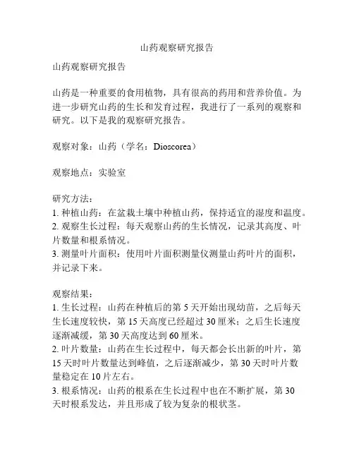 山药观察研究报告