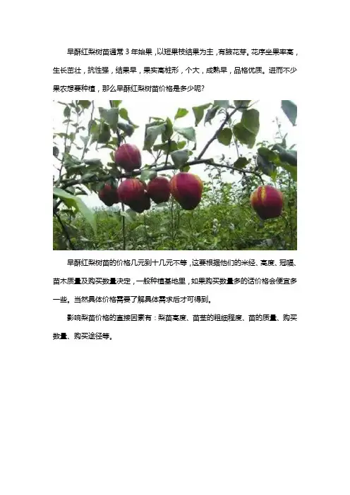 早酥红梨树苗多少钱