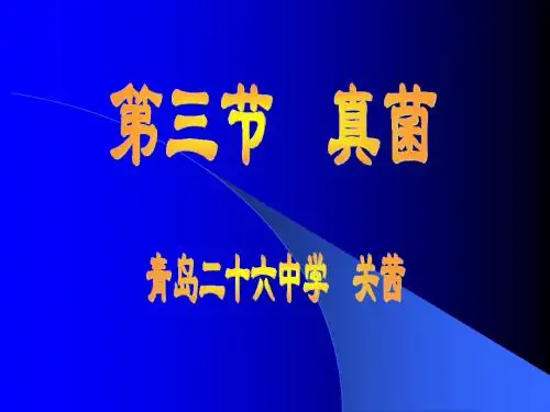 八年级生物 - 真菌 PPT课件 (1)