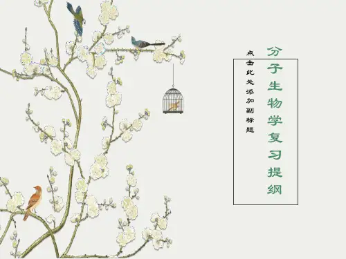 分子生物学复习题纲