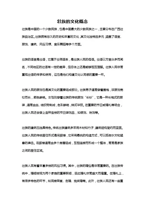 壮族的文化概念