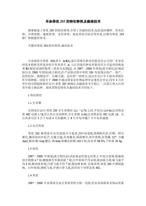 早杂荣优203的特征特性及栽培技术